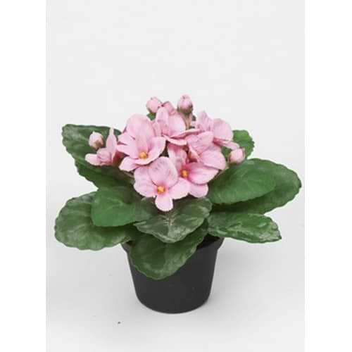 kunstig plante med rosa blomster