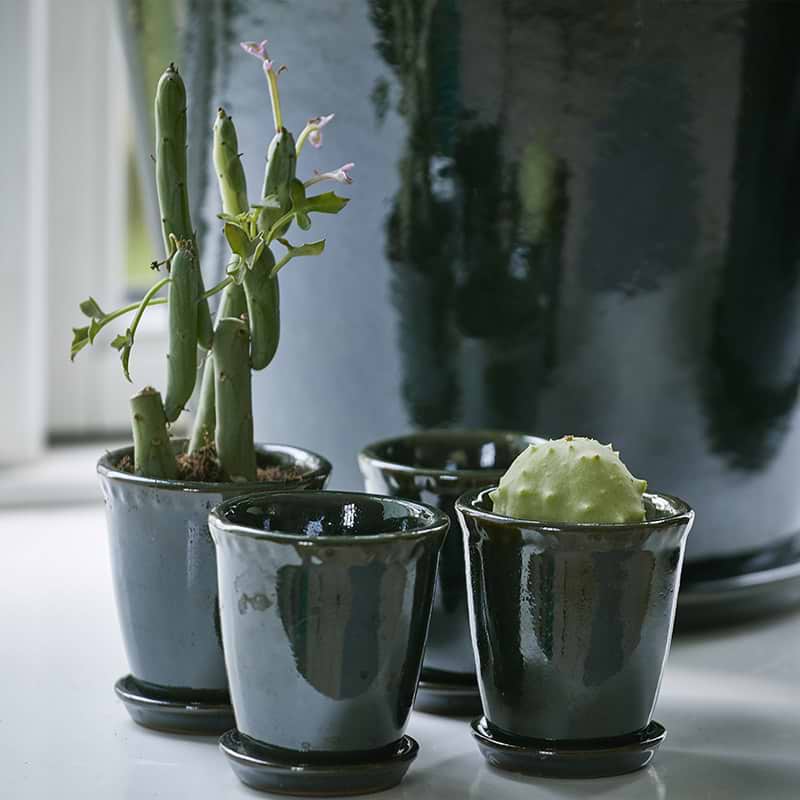 Skjuler med underskål - Lacepot ø10 - Blå glaseret