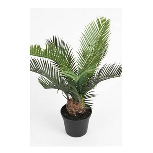 Palme Cycas Kunstig