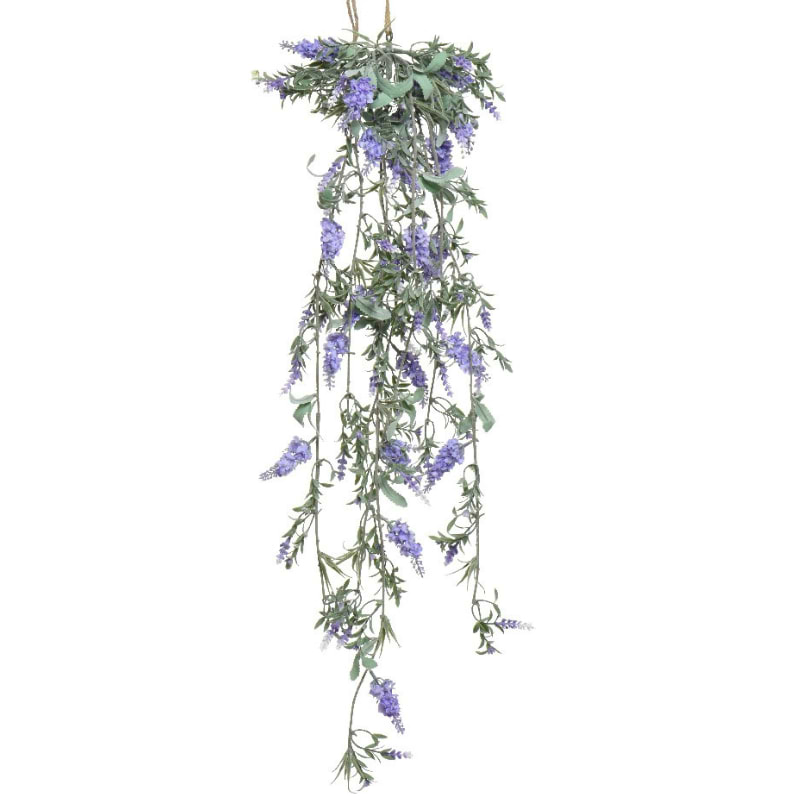 lyslilla ranke