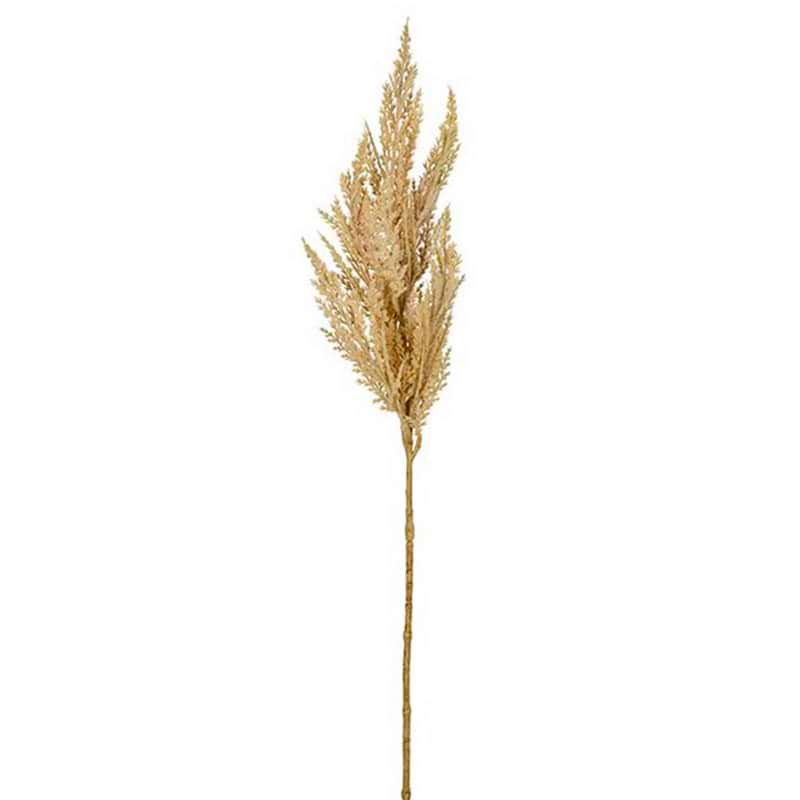 Creme pampas