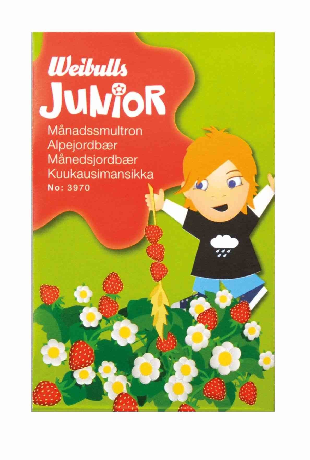 Månedsjordbær Junior