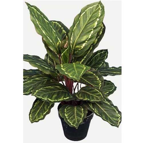 kunstig plante