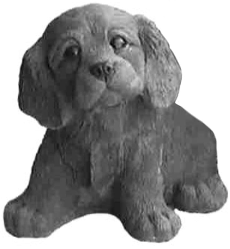 King Charles spaniel Hvalp - betonfigur - 21 cm 