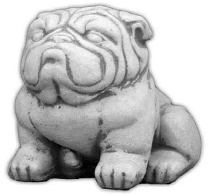 Siddende bulldog - betonfigur - 23 cm
