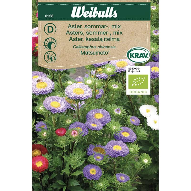 Sommer Asters frø (Callistephus chinensis 'Matsumoto')