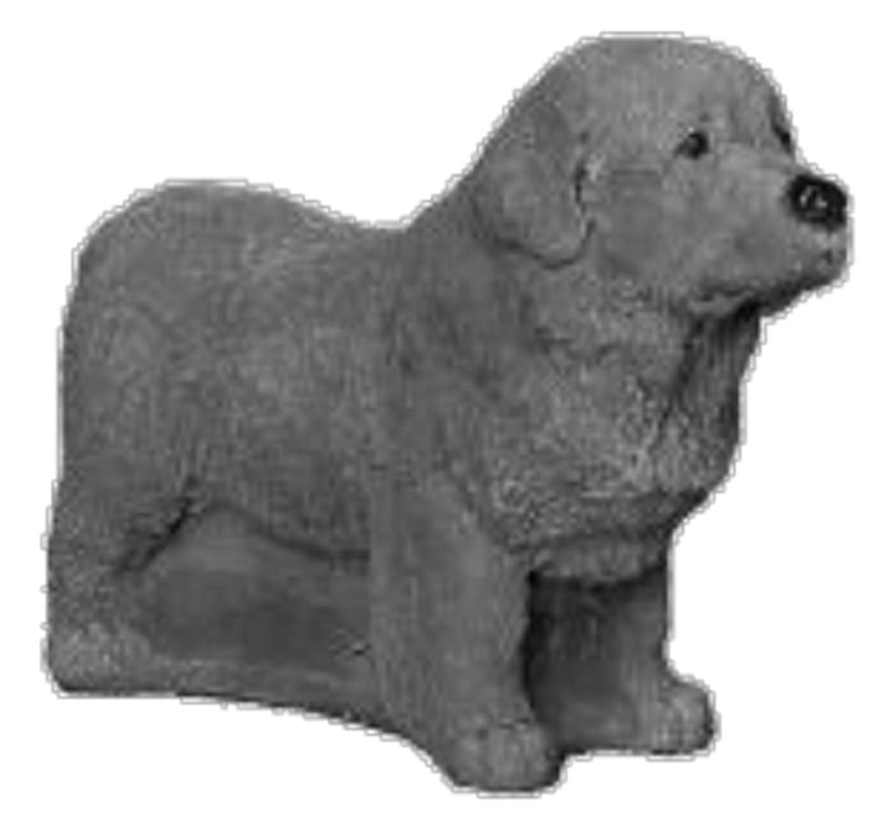 Newfoundlænder hvalp- betonfigur -  23 cm