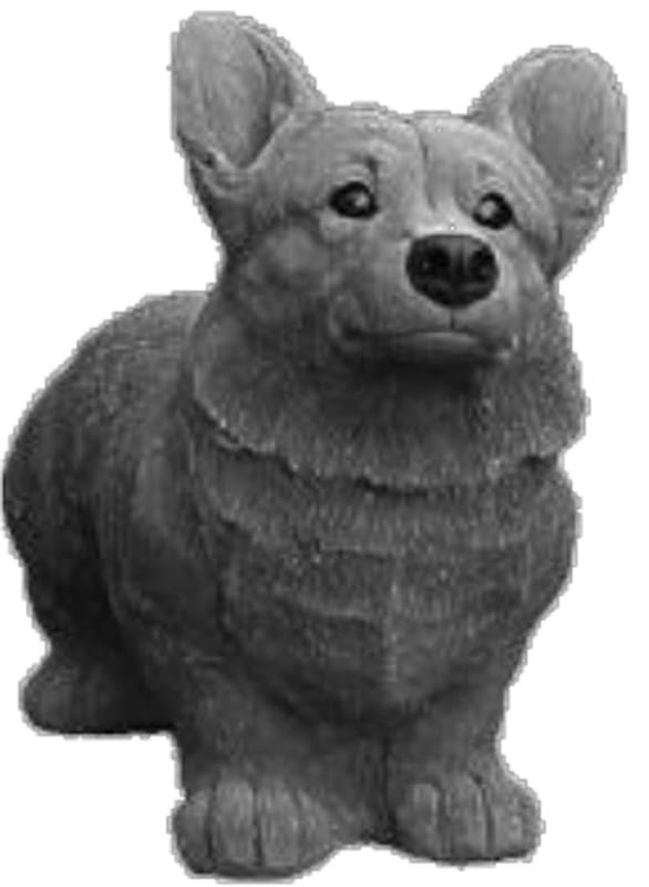 Welsh Corgi Pembroke - betonfigur - 44 cm