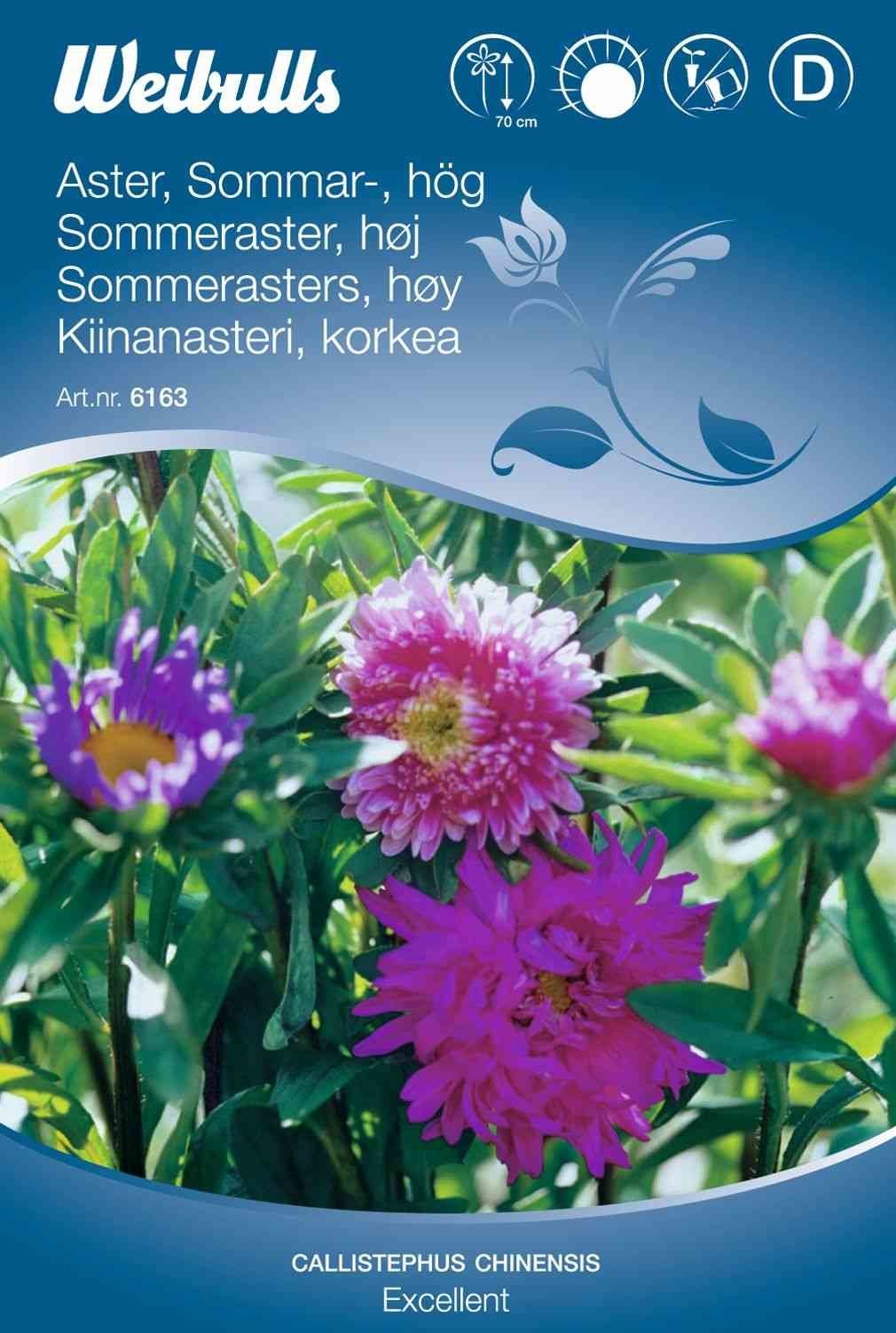 Blomsterfrø (Sommerasters Høj 'Excellent')