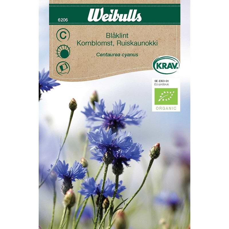 Blomsterfrø Kornblomst