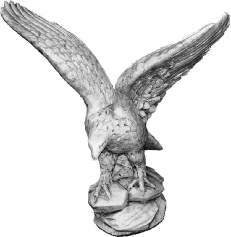 Ørn - betonfigur - 60 cm