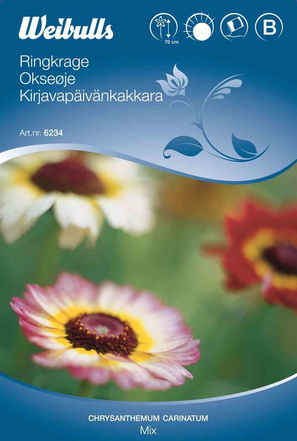Blomsterfrø (Okseøje 'Mix')