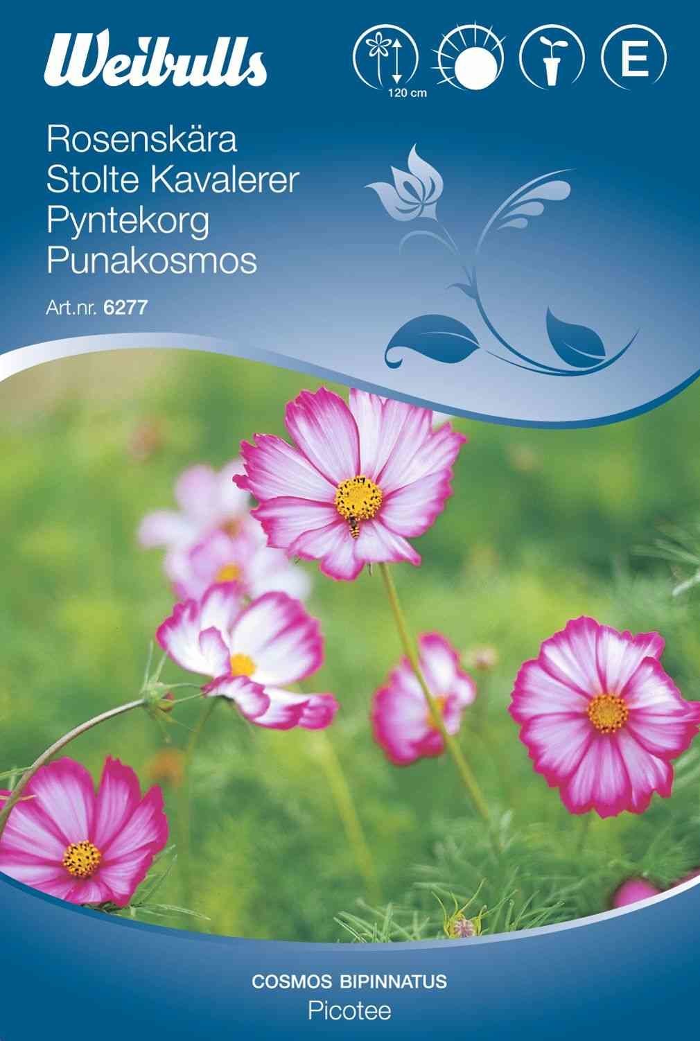 Blomsterfrø (Stolte Kavalerer 'Picotee')