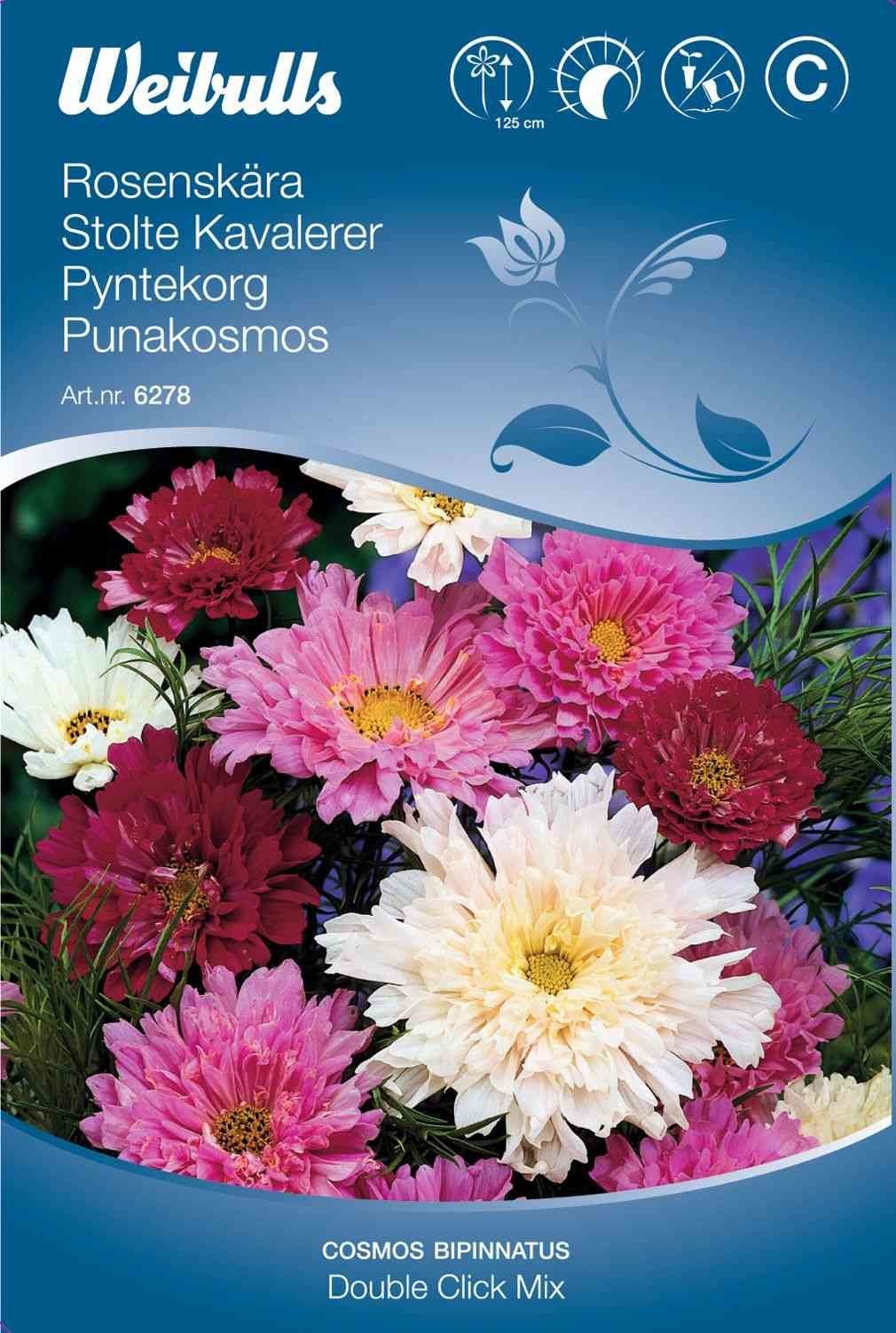 Blomsterfrø (Stolte Kavalerer 'Double Click Mix')