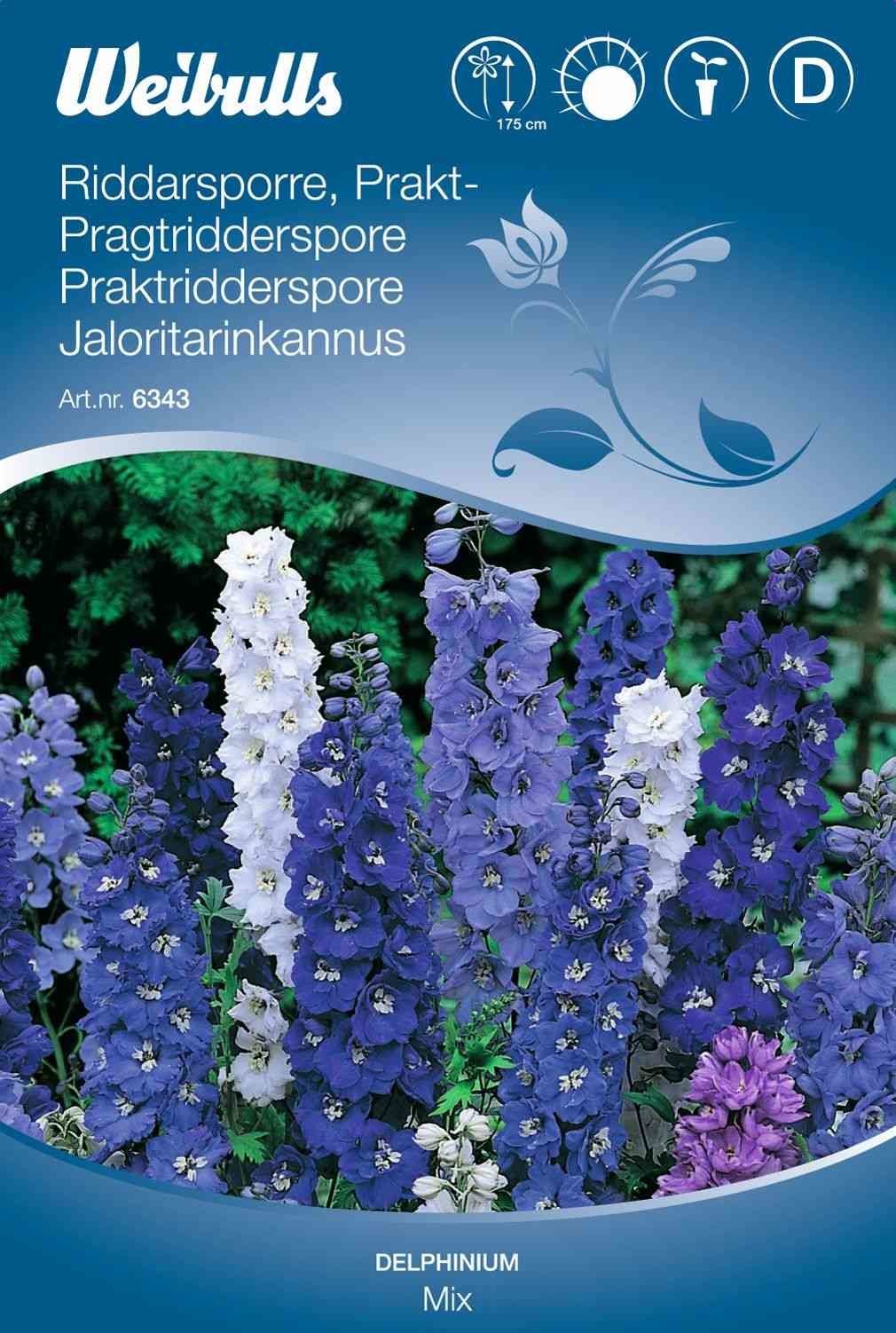 Blomsterfrø (Pragtridderspore 'Mix')