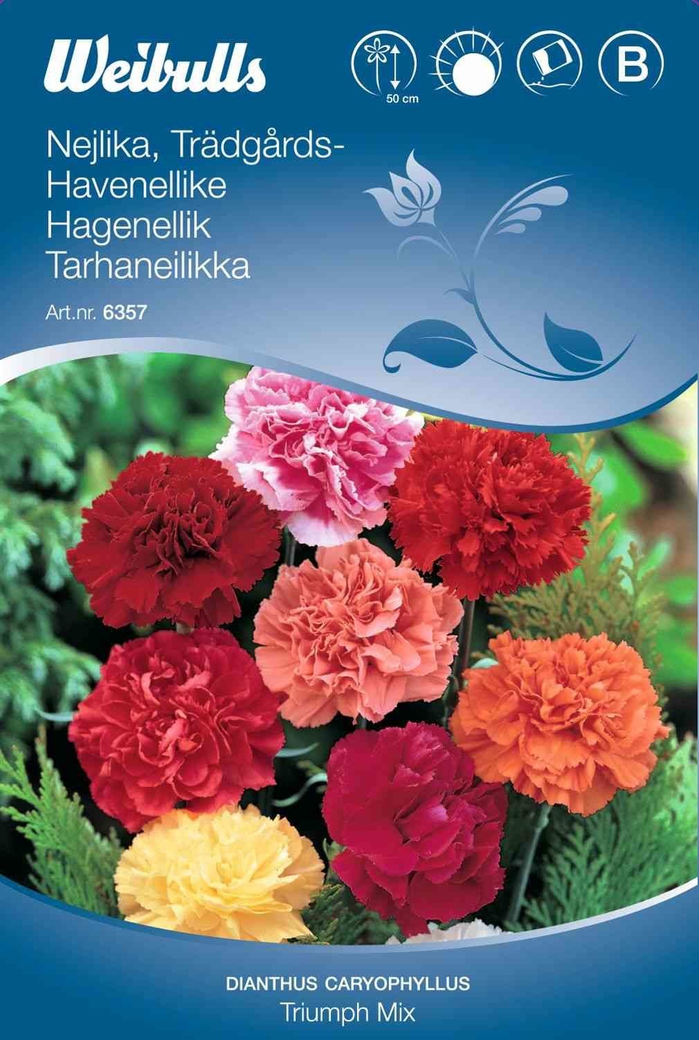 Blomsterfrø (Havenellike 'Triumph Mix')