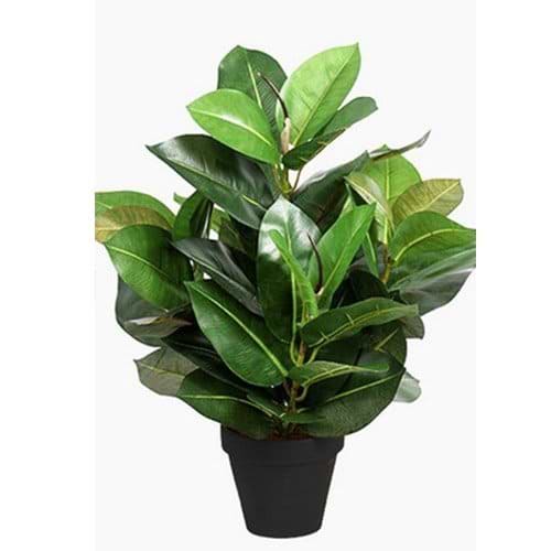 kunstig gummiplante robusta