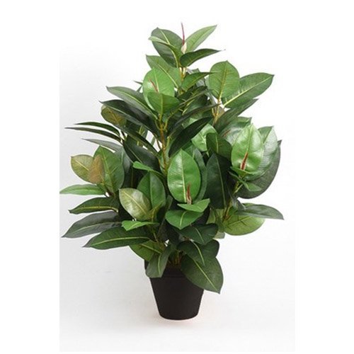 kunstig gummiplante robusta