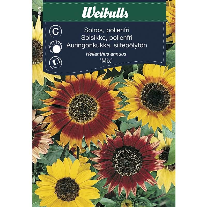 Blomsterfrø Solsikke Pollenfri Mix