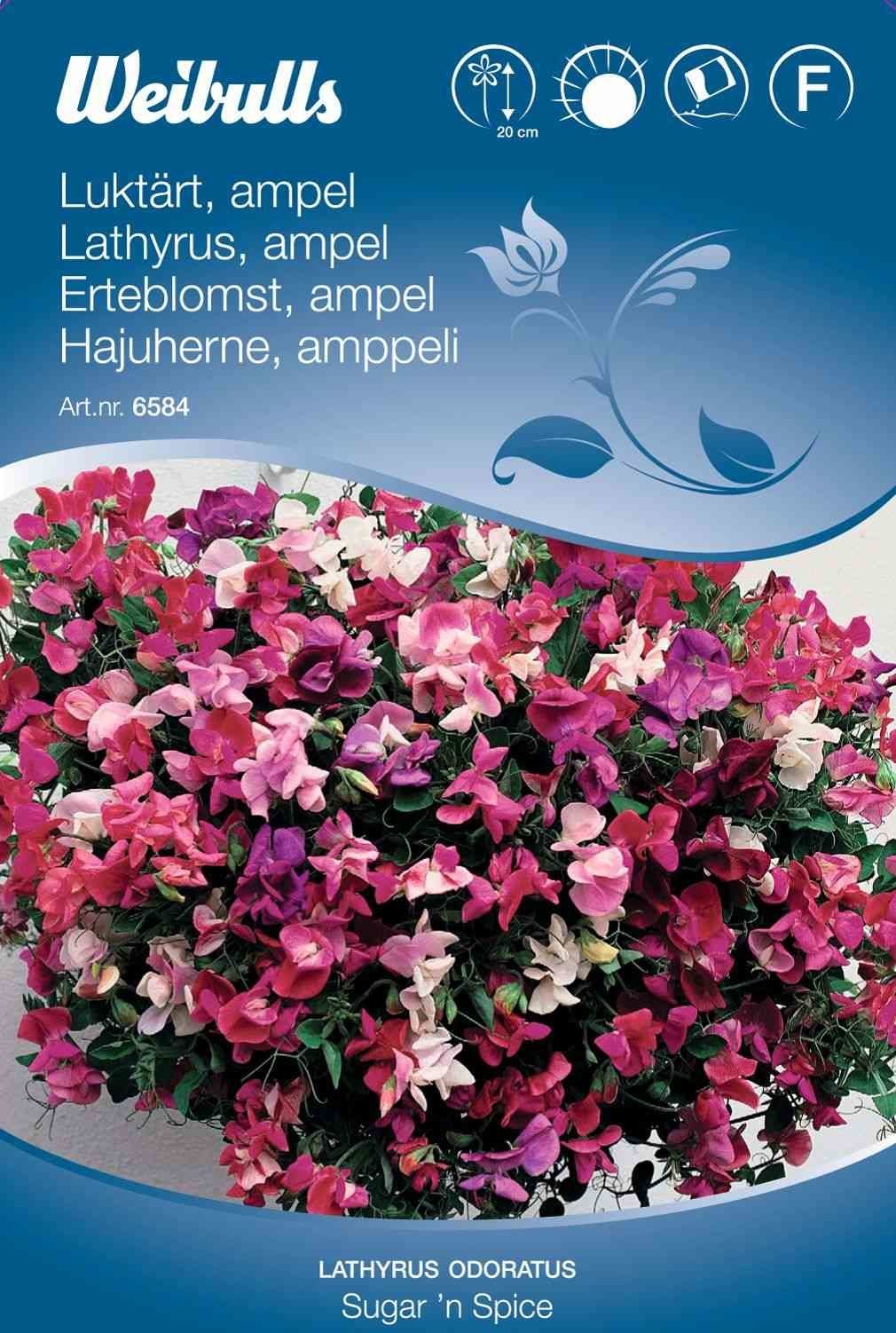 Blomsterfrø (Lathyrus/Ærteblomster 'Sugar'n  Spice')