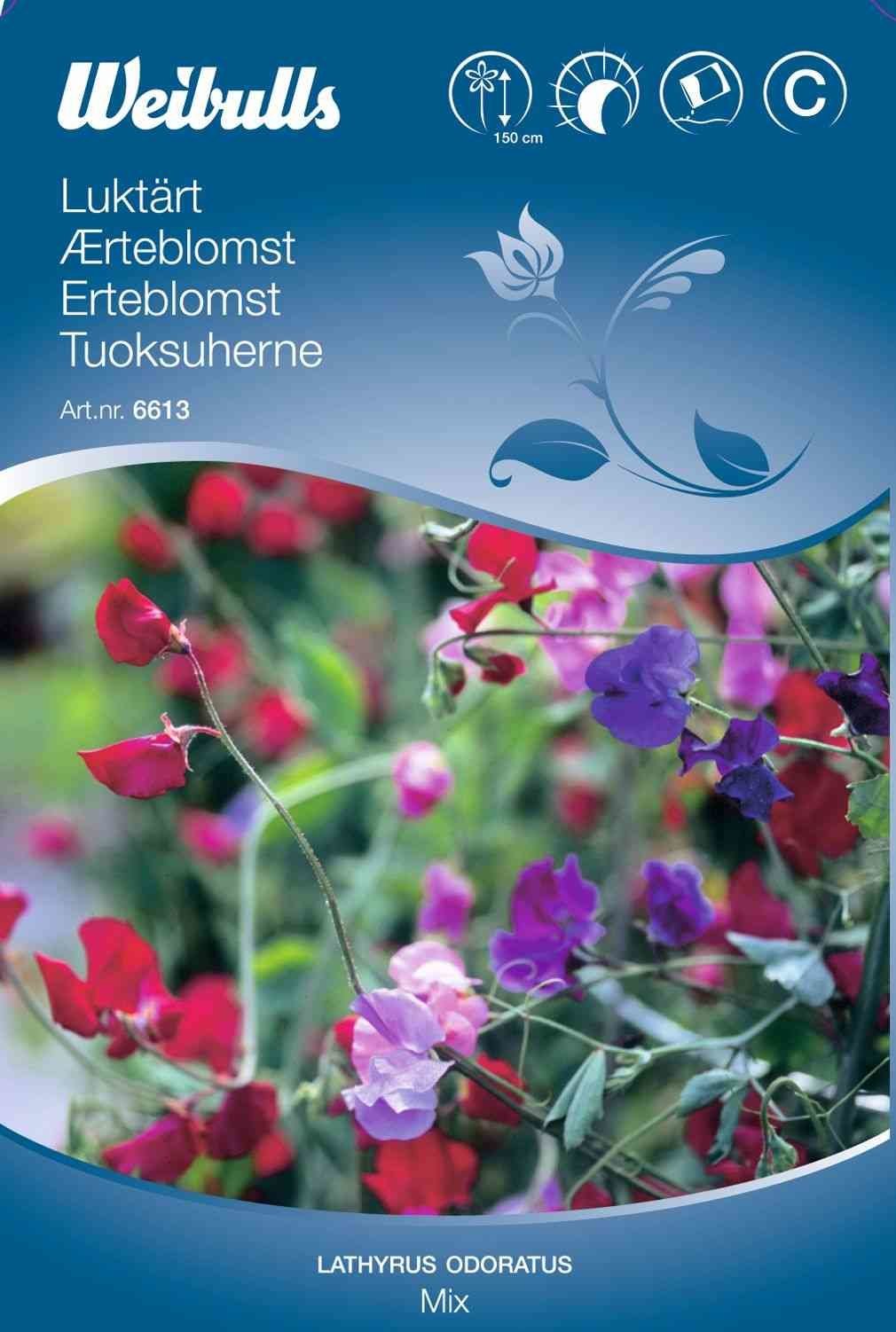 Blomsterfrø (Ærteblomst 'Mix')