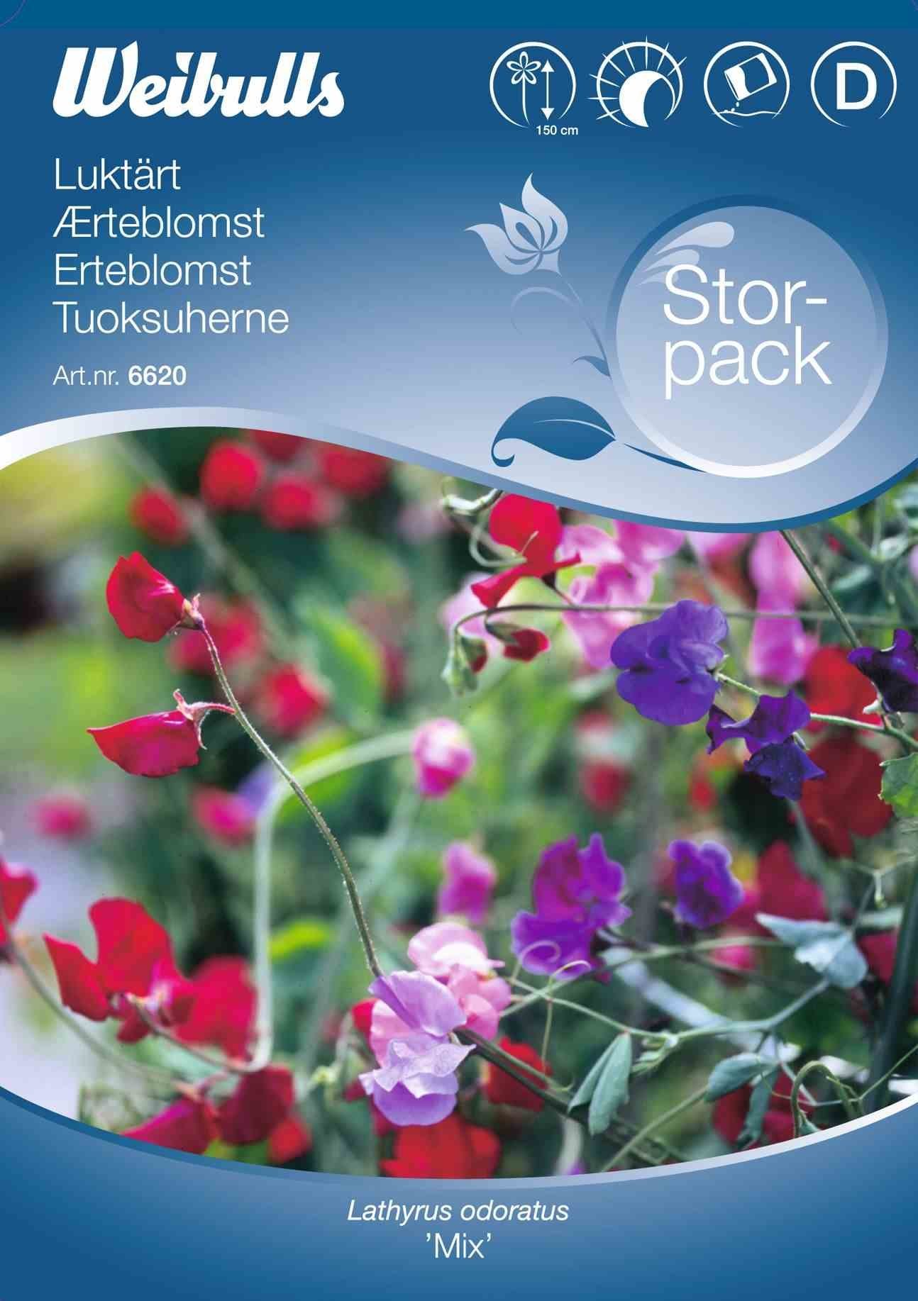 Blomsterfrø (Ærteblomst 'Mix') Stor Pose