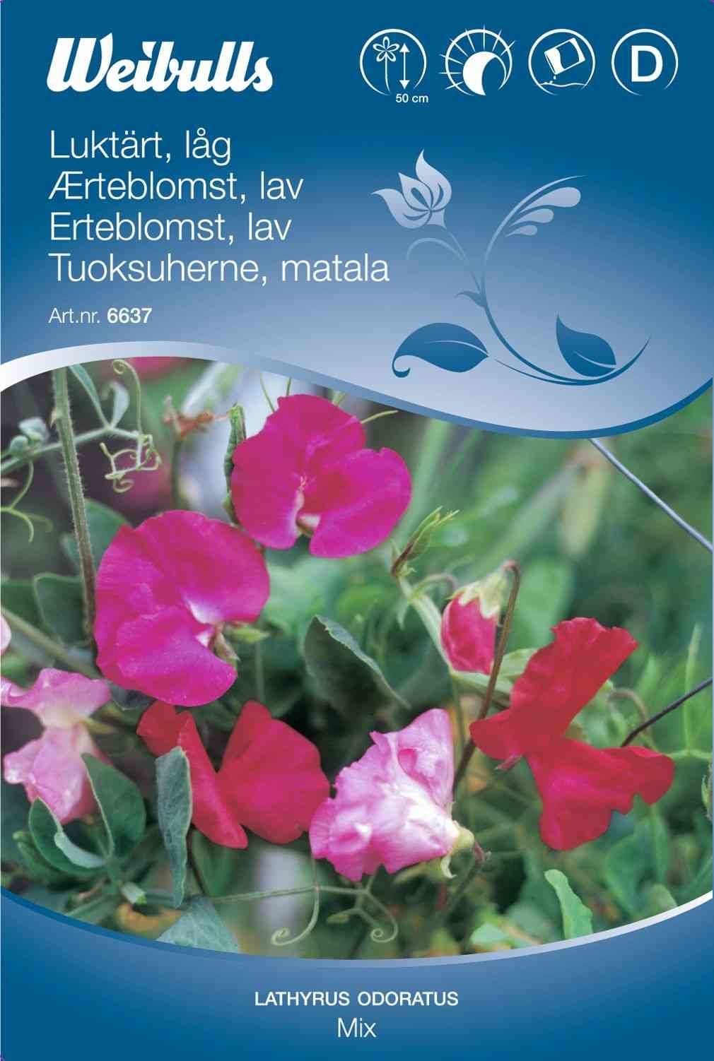 Blomsterfrø (Ærteblomst Lav 'Mix')