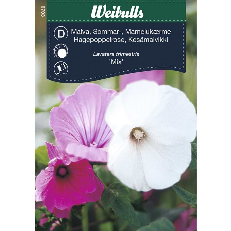 Blomsterfrø Mamelukærme Mix