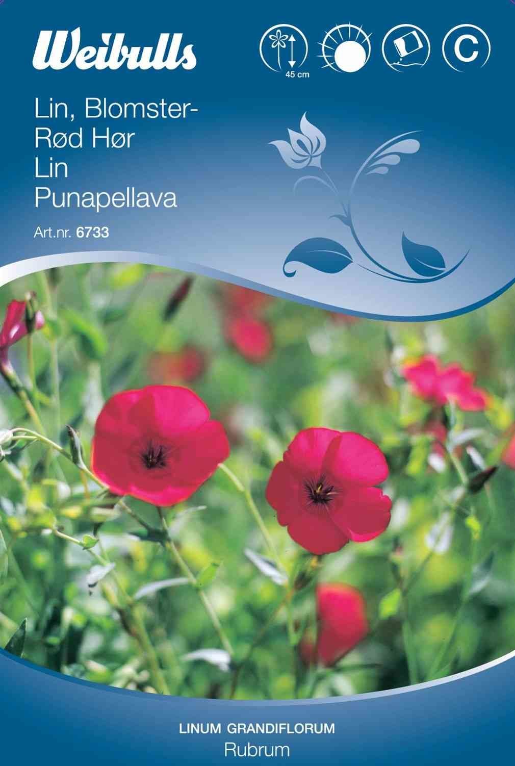 Blomsterfrø (Rød Hør 'Rubrum')