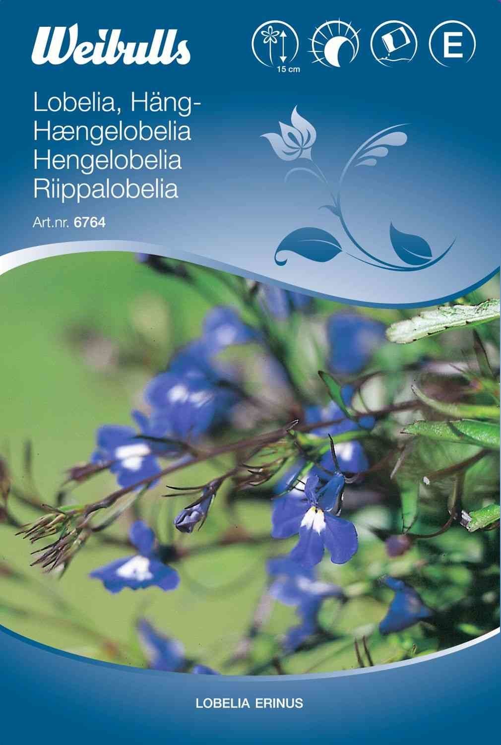 Blomsterfrø (Hængelobelia)