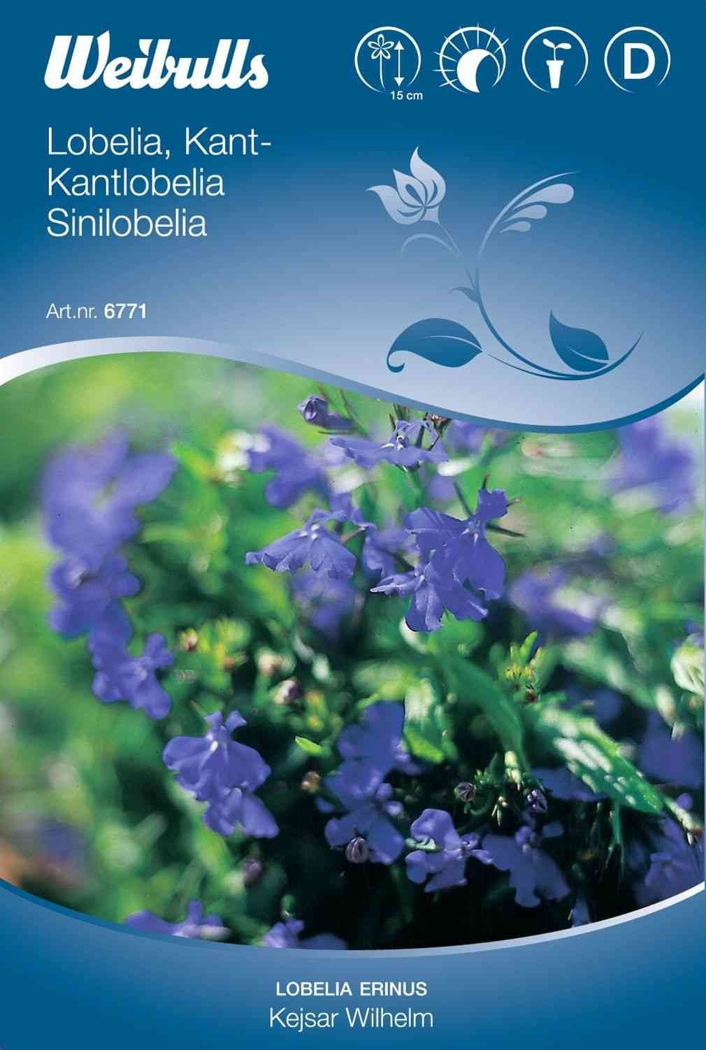 Blomsterfrø (Kantlobelia 'Kejsar Wilhelm')