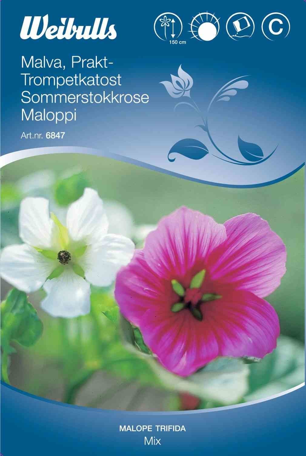Blomsterfrø (Trompetkatost/Sommerstokrose 'Mix')