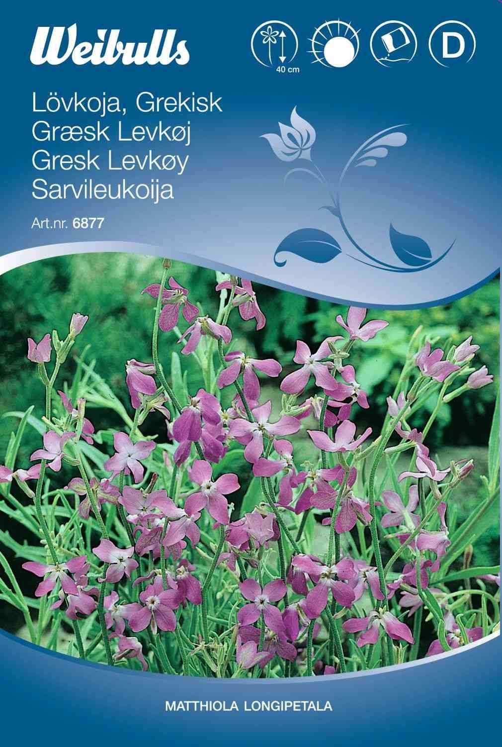 Blomsterfrø (Græsk 'Levkøj')