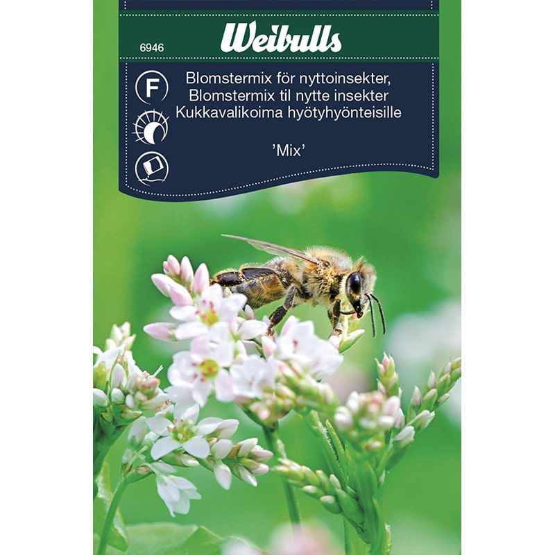 Blomstermix til nytte insekter - frø