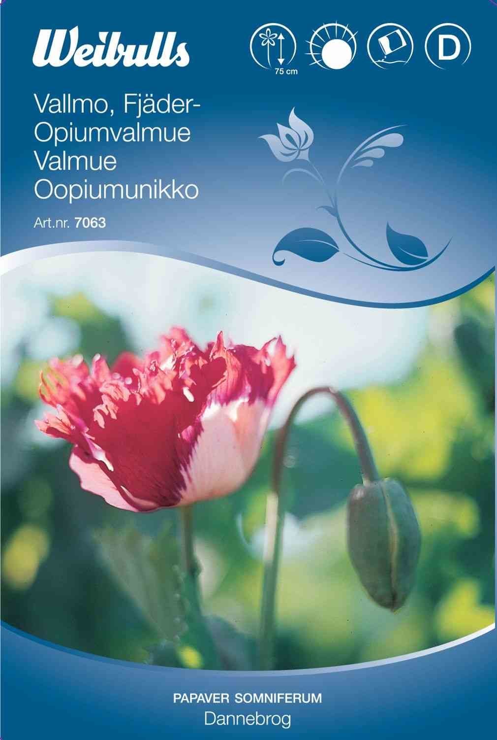 Blomsterfrø (Opiumvalmue 'Dannebrog')