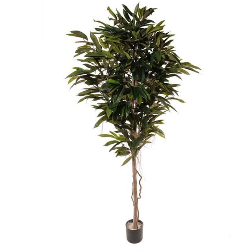 Kunstig Longifolia