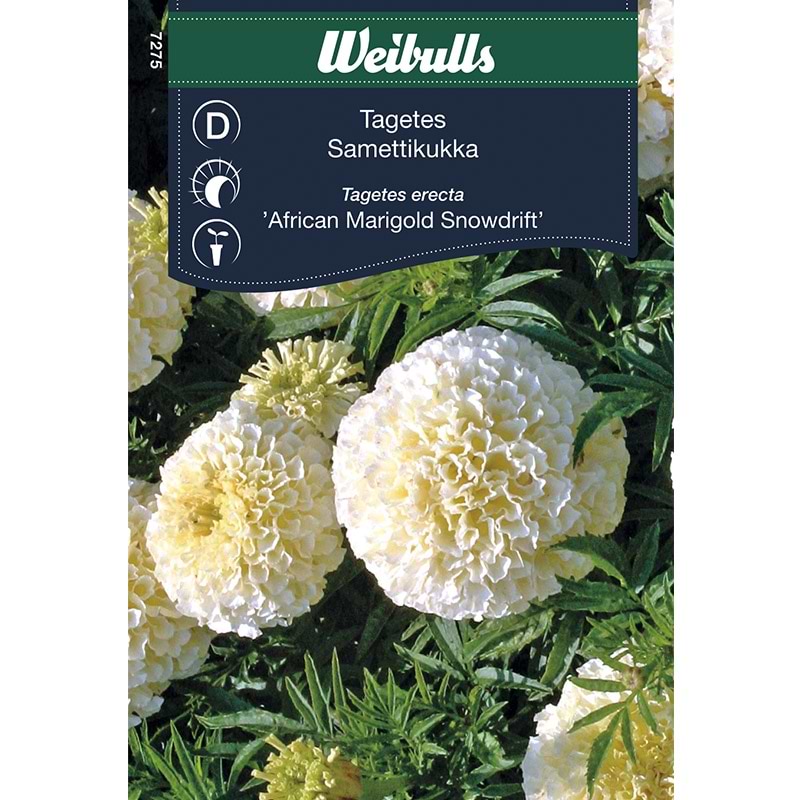 Blomsterfrø Tagetes African Marigold Snowdrift