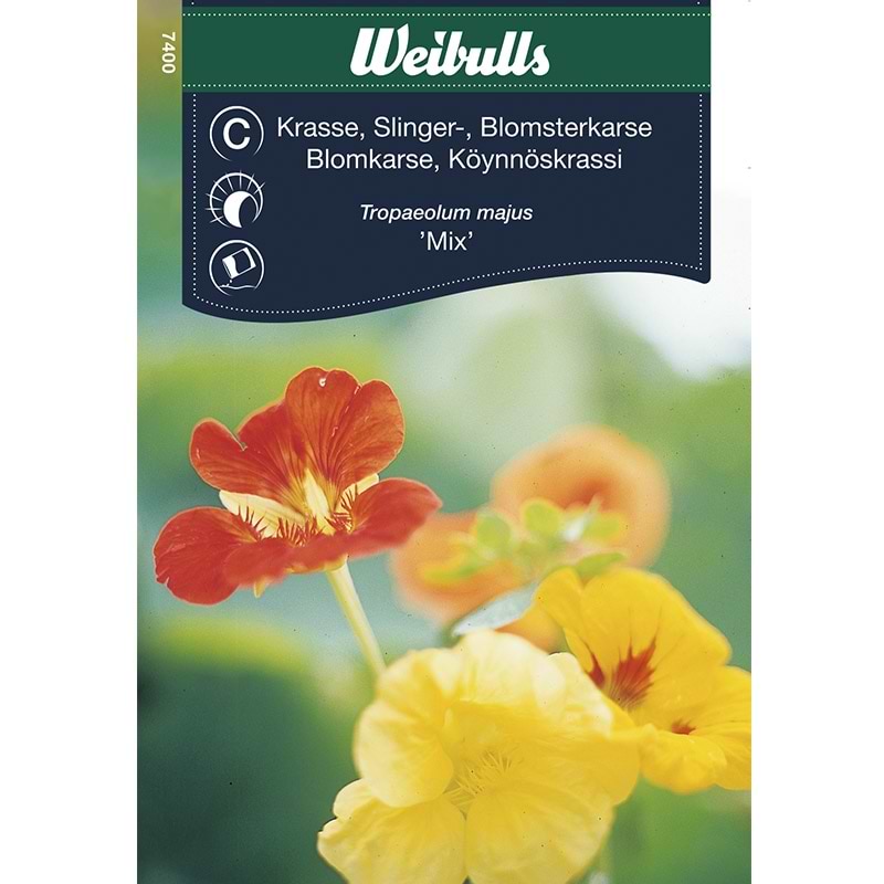 Blomsterfrø Blomsterkarse Tallerkensmækker