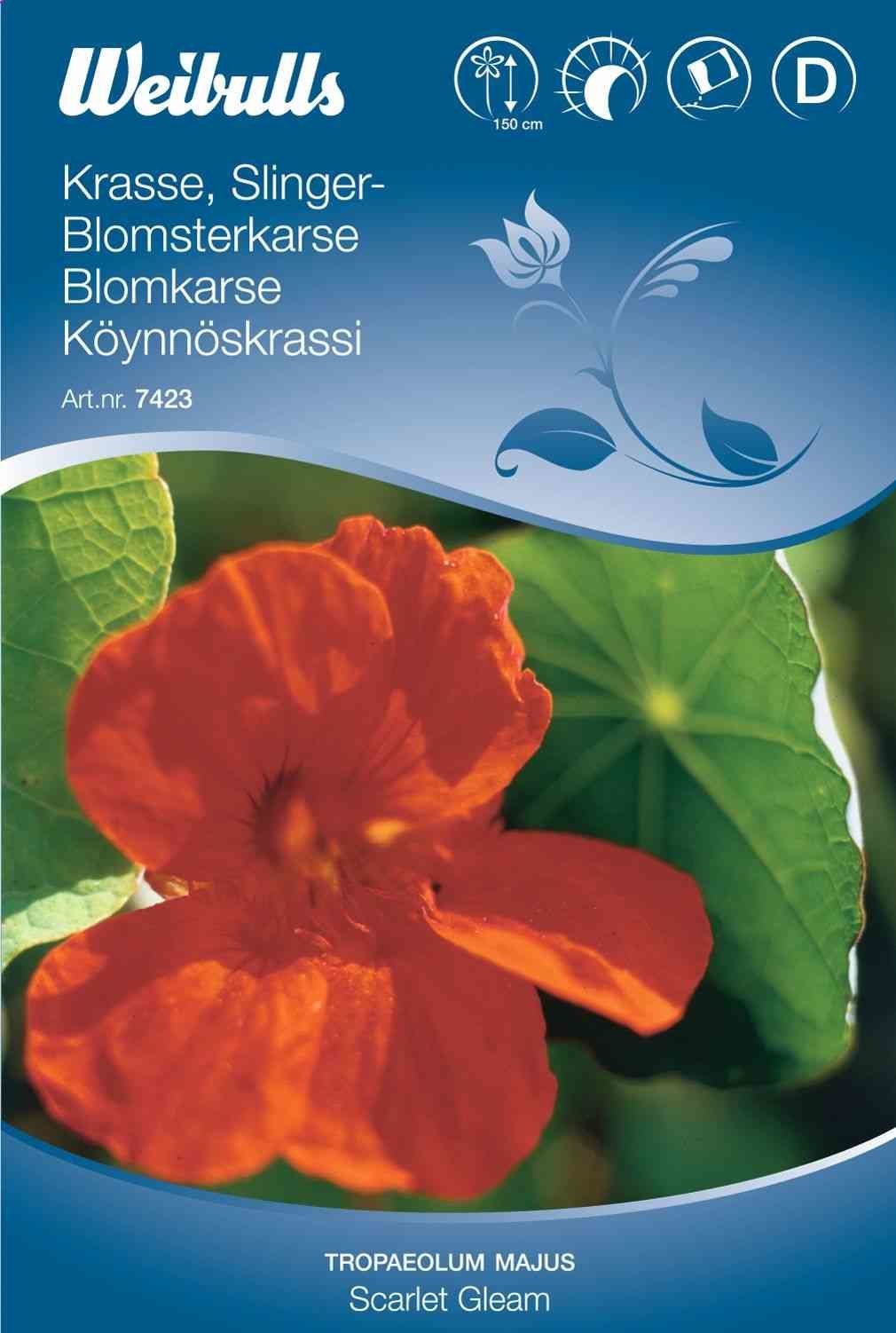 Blomsterfrø (Blomsterkarse Rød 'Scarlet Gleam')