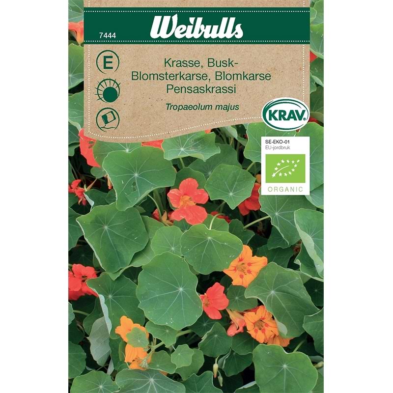 Blomsterfrø Tallerkensmækker