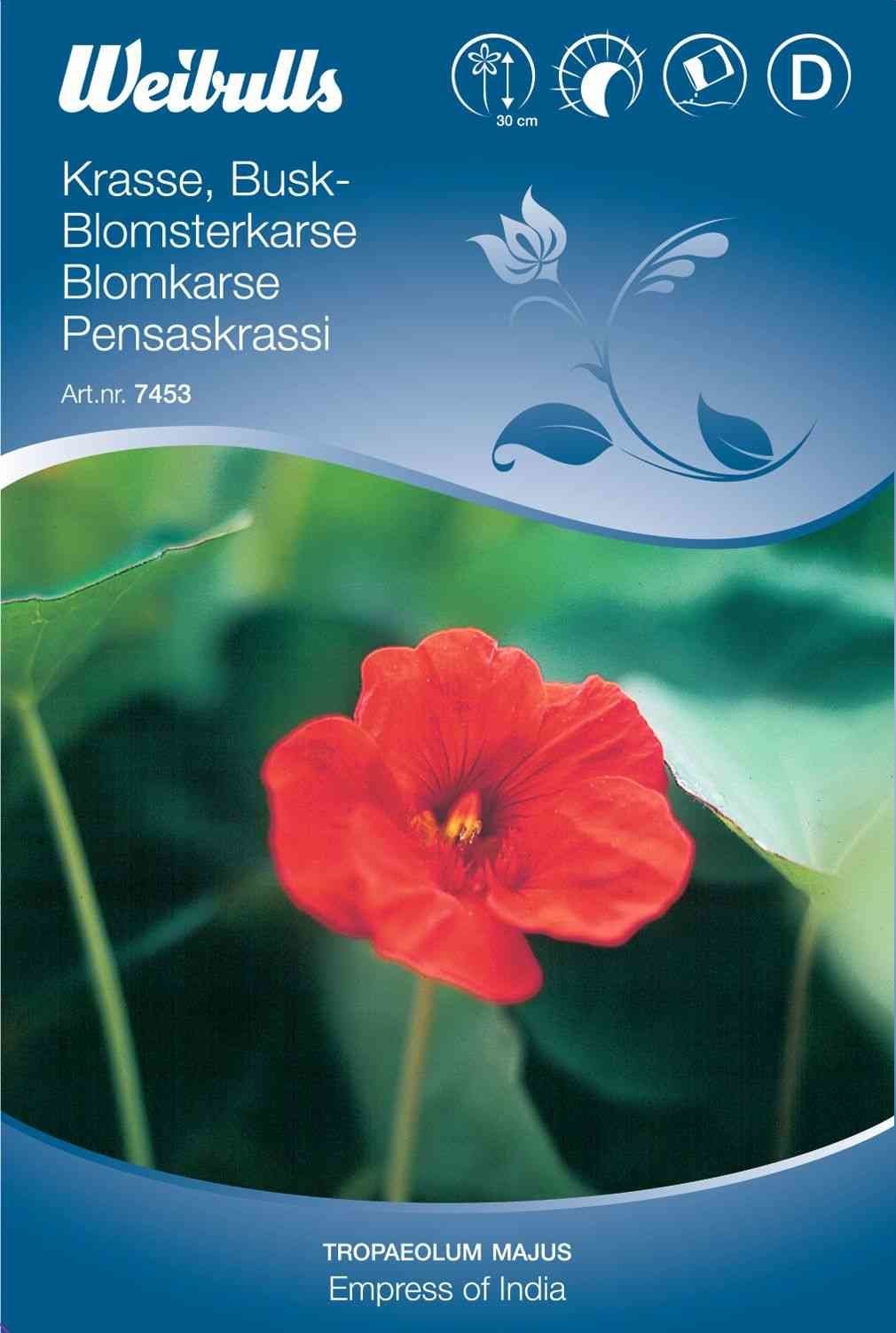Blomsterfrø (Blomsterkarse /Tallerkensmækker Rød 'Empress Of India')