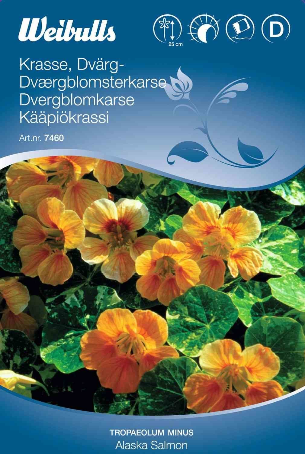 Blomsterfrø (Dværgblomsterkarse/Tallerkensmækker tropaeolum minus 'Alaska Salmon')
