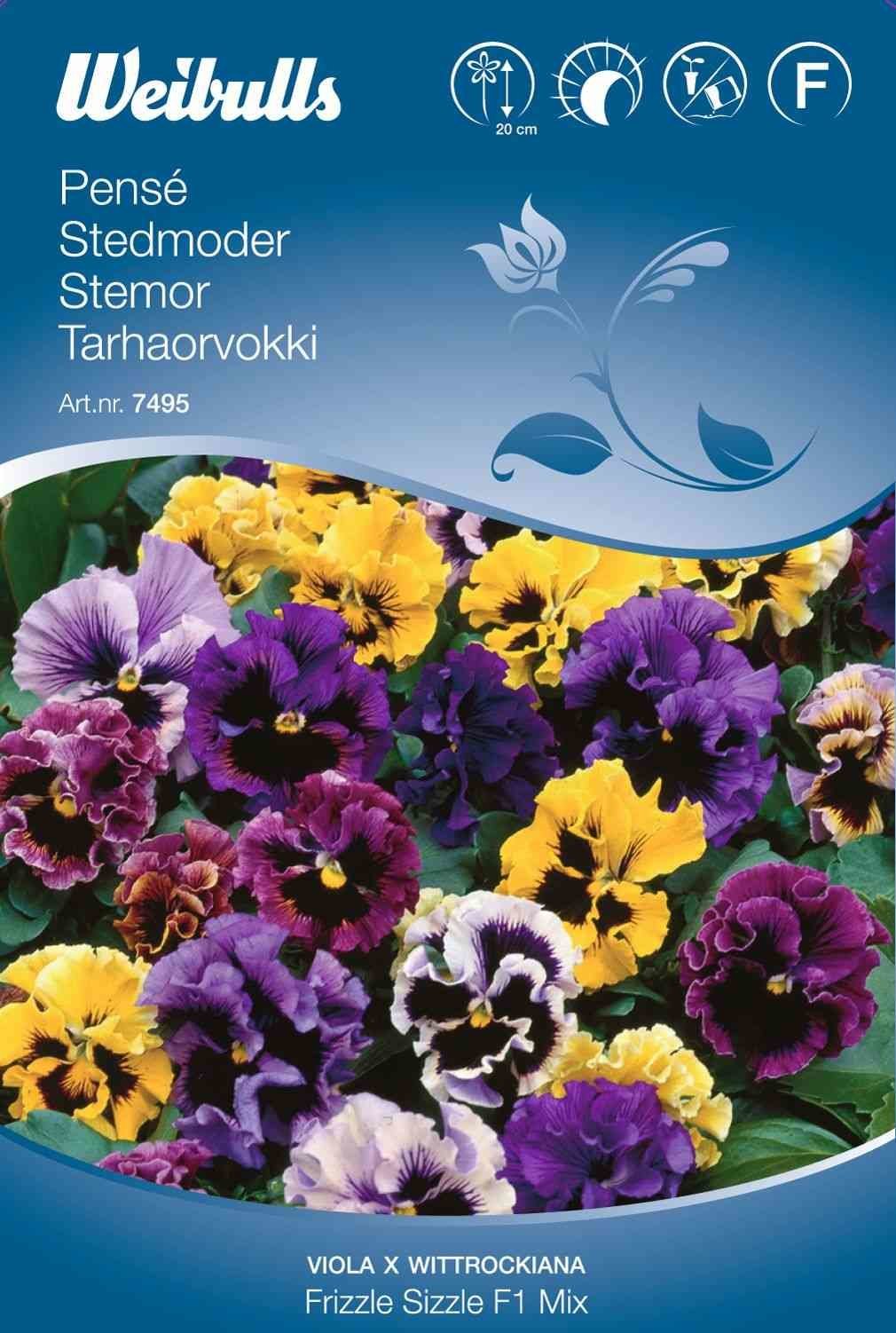 Blomsterfrø (Stedmoder 'Frizzle Sizzle F1 Mix')