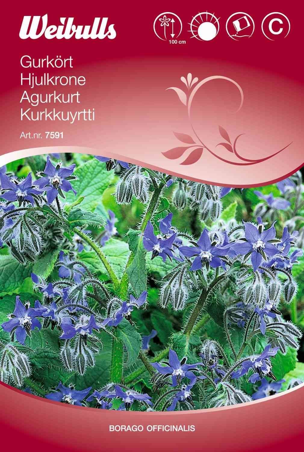 Hjulkronefrø (Hjulkrone Blå)