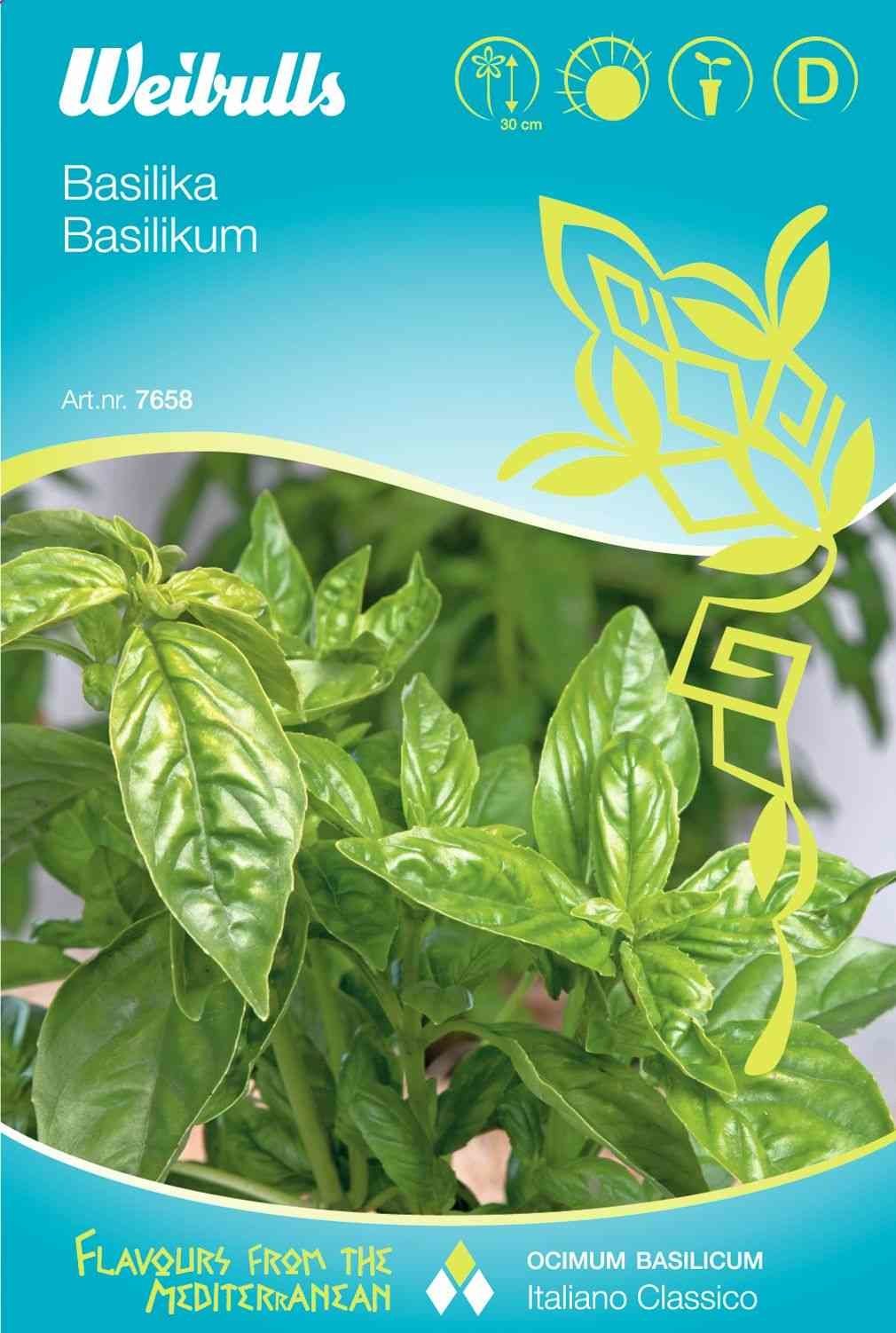 Basilikumfrø (Basilikum 'Italiana Classico')