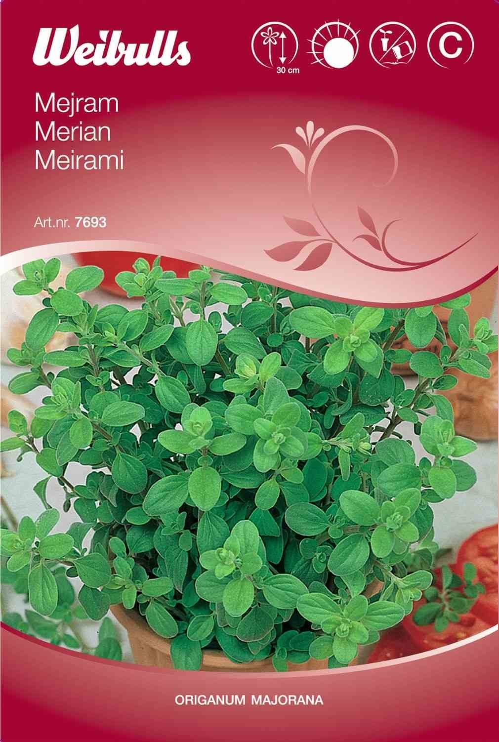 Merianfrø (Merian)