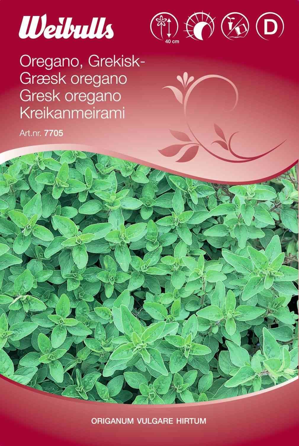 Oreganofrø (Græsk Oregano)
