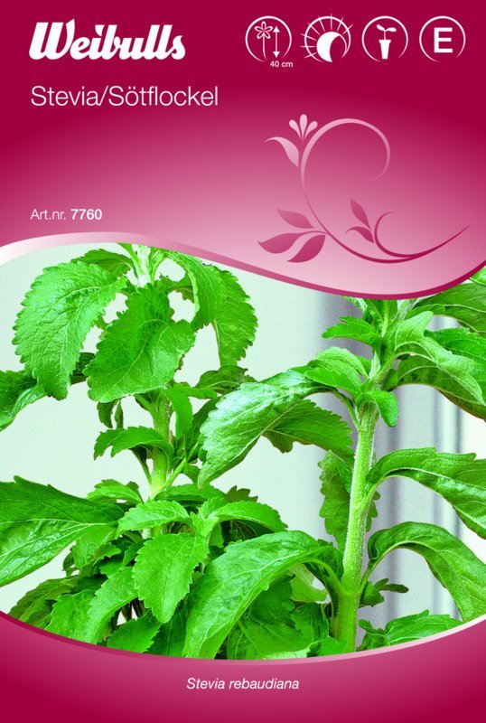 Steviafrø (Stevia 'Sotflockel')