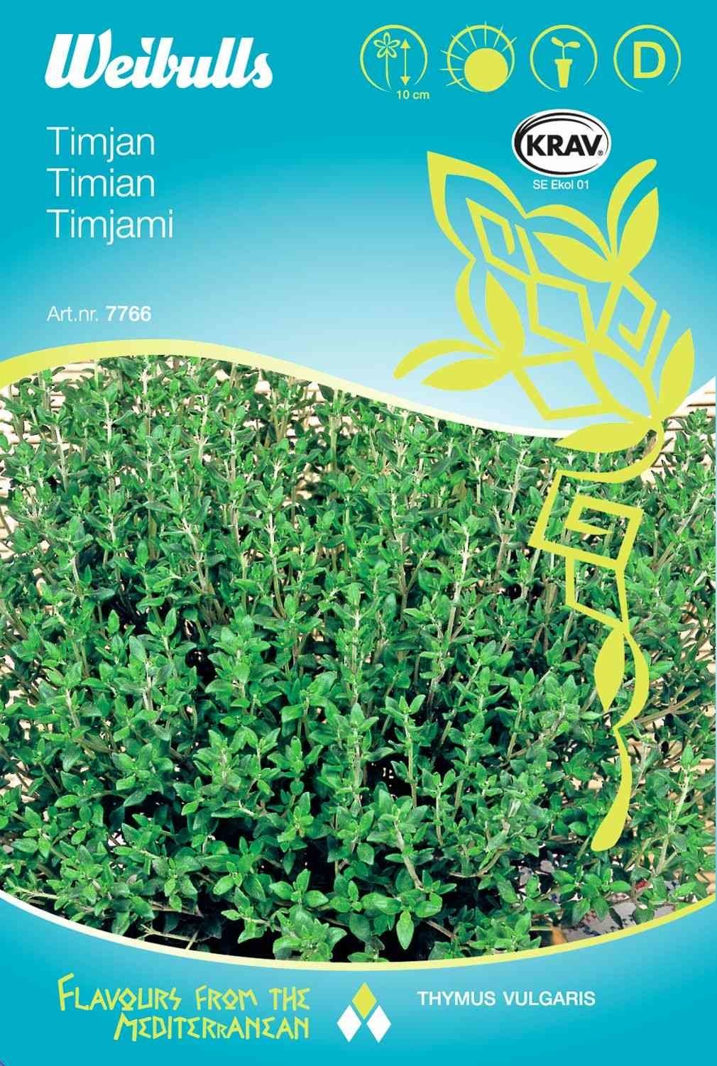 timianfrø