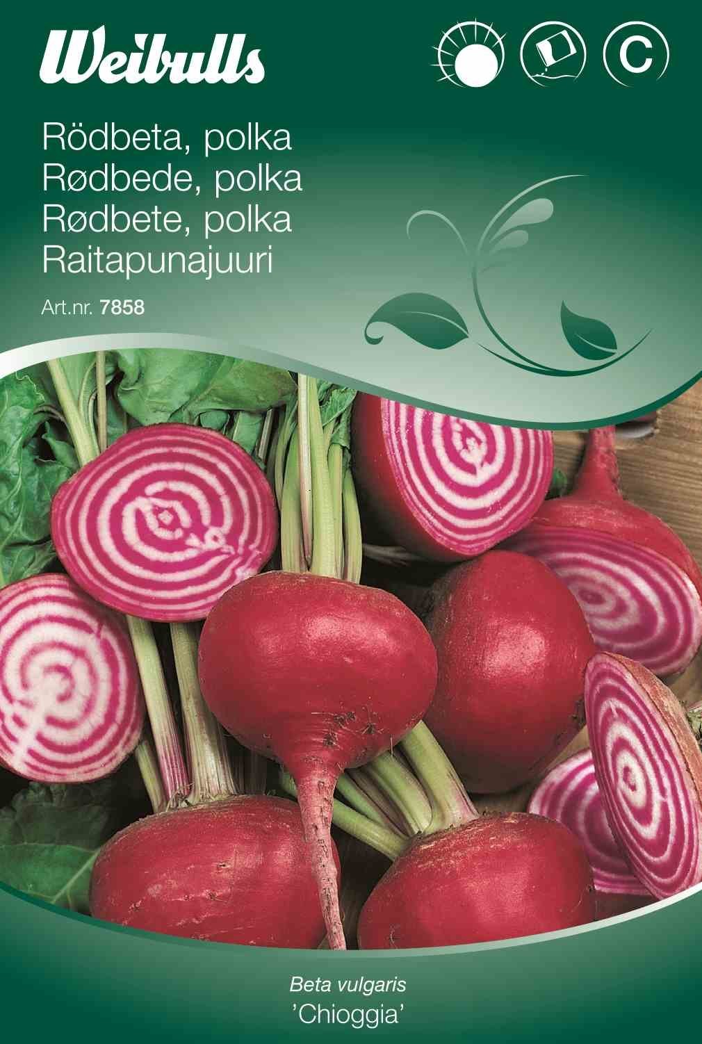 Rødbedefrø (Rødbede 'Chioggia')